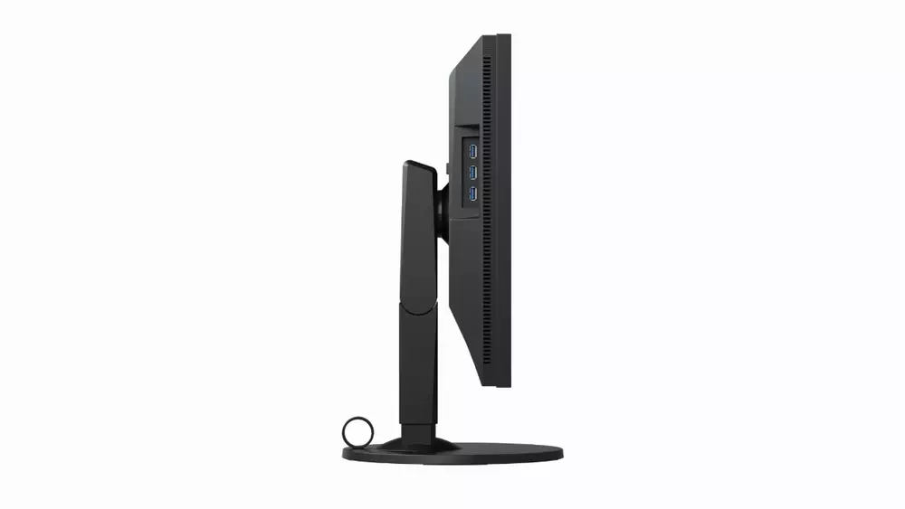 Монитор EIZO ColorEdge CS2410 24" 1920x1200, IPS