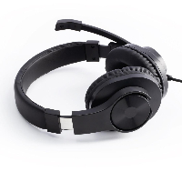 Слушалки с микрофон HAMA HS-P350, Y-адаптер, Black