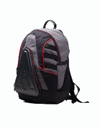 Раница Assassin's Creed Odyssey - Technical Backpack With Gold Foil Print Backpack