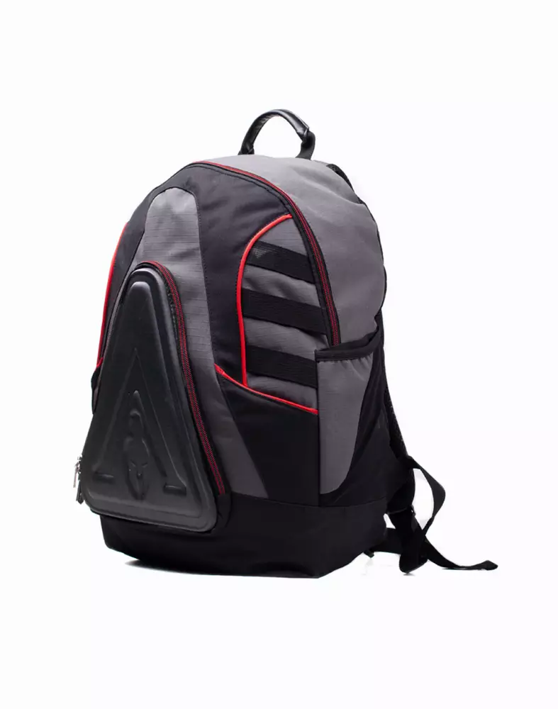 Раница Assassin's Creed Odyssey - Technical Backpack With Gold Foil Print Backpack