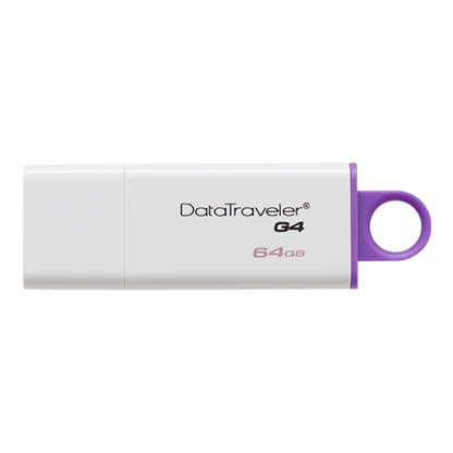 64GB USB KINGSTON /DTIG4