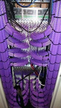 Cable 100M UTP CAT 5E
