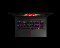 MSI GE75 RAIDER 10SGS-203BG