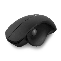 Мишка Ewent EW3151 Black