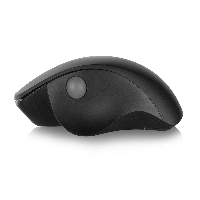 Мишка Ewent EW3151 Black
