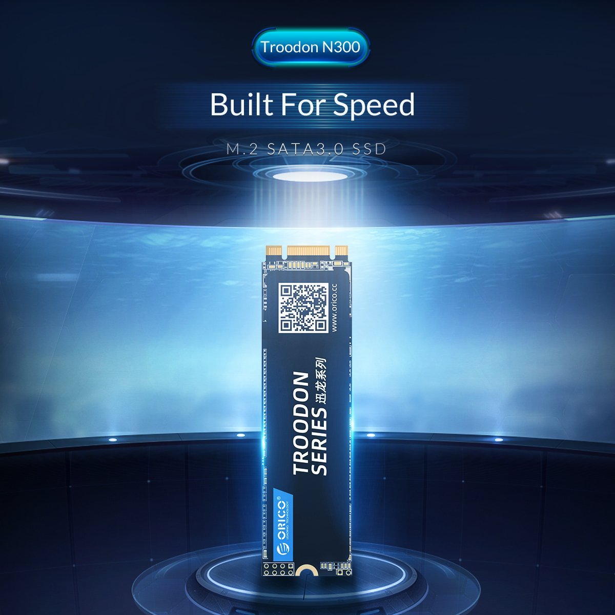 Диск SSD Orico N300 256GB M.2 SATA 3D NAND