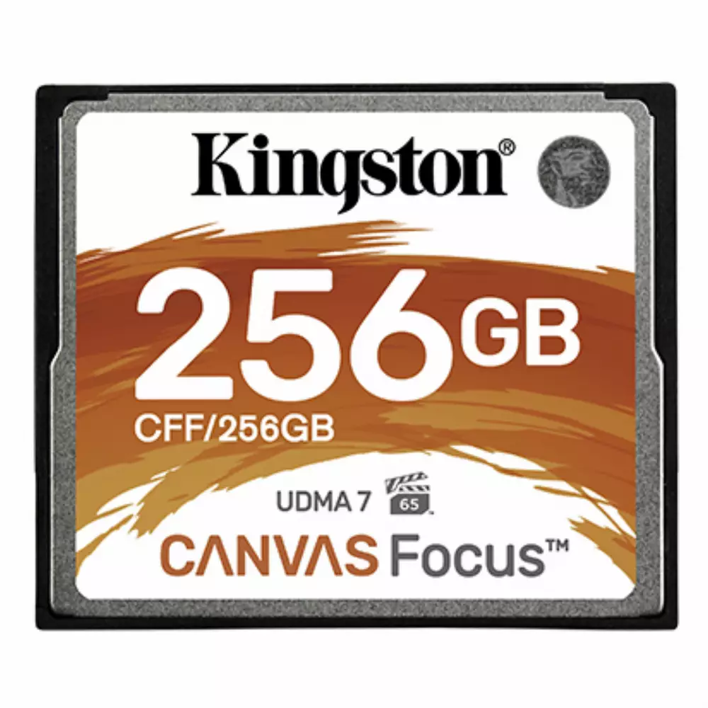 256GB CF CARD CANVAS FOCUS KIN
