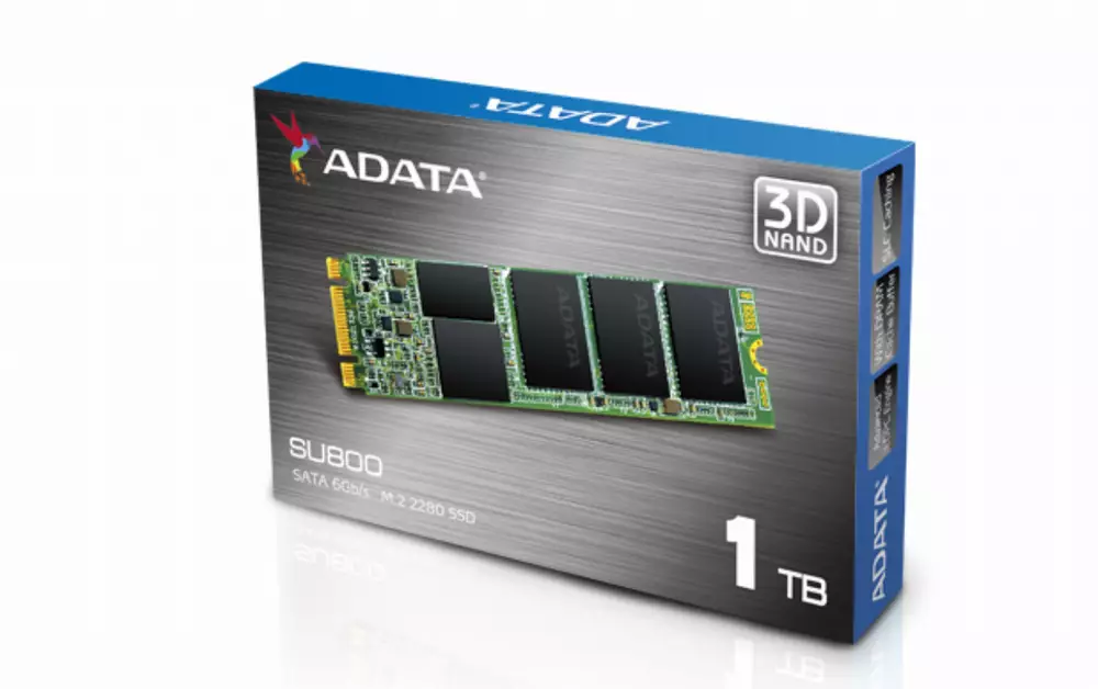 Диск SSD ADATA SU800 1TB M.2 SATA III 3D NAND