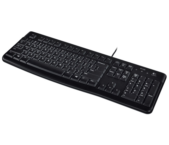 Клавиатура Logitech K120 OEM Black - 920-002479