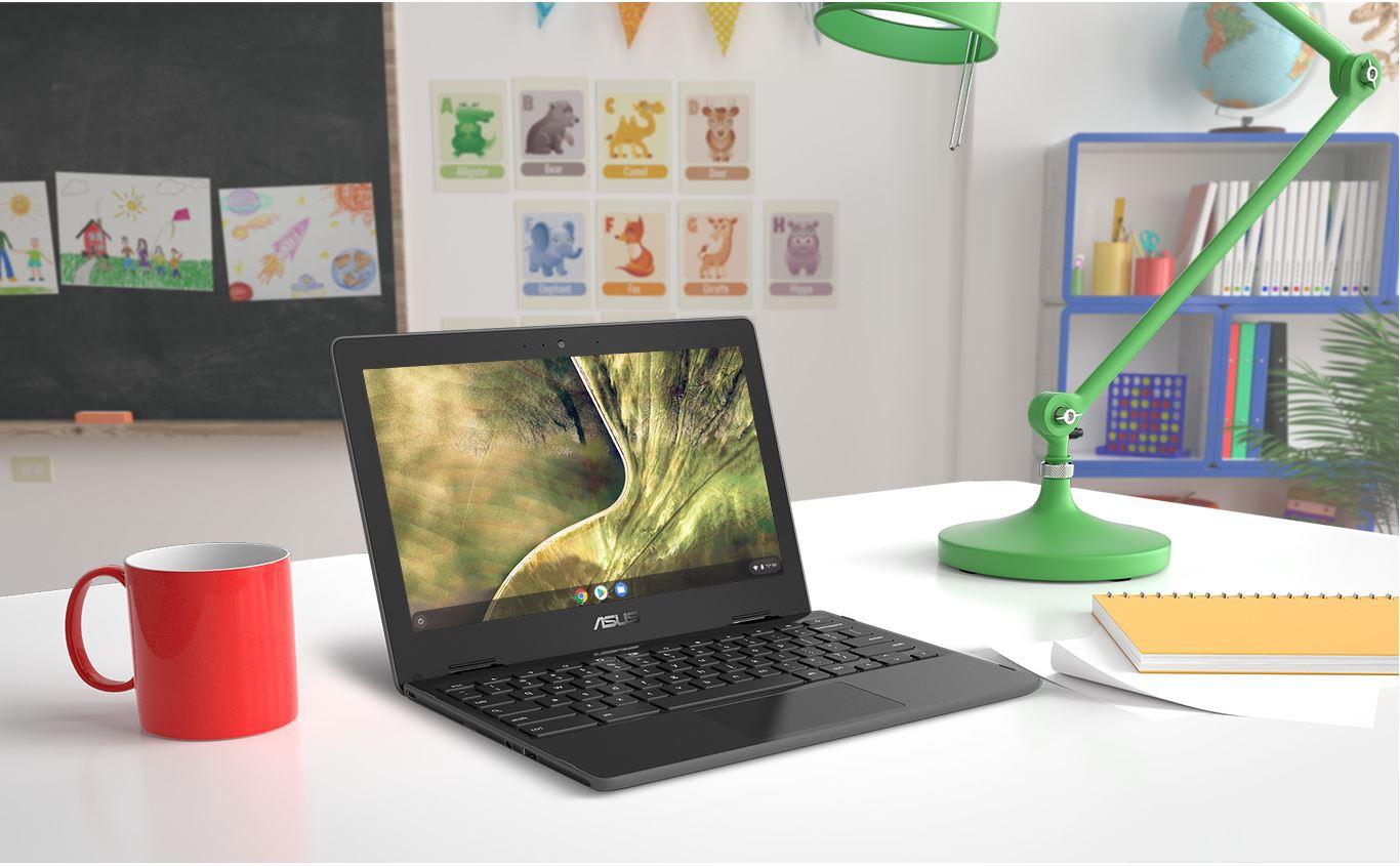 Лаптоп ASUS Chromebook C204EE-GJ0219