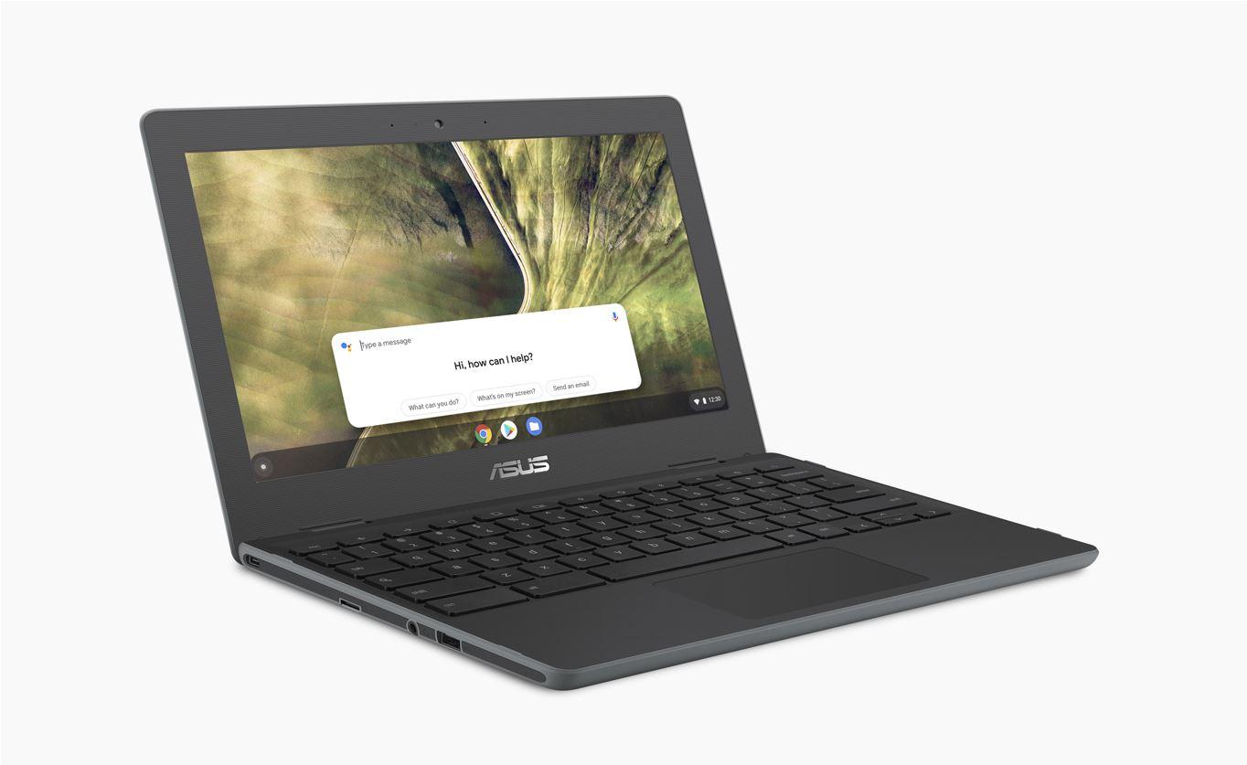 Лаптоп ASUS Chromebook C204EE-GJ0219