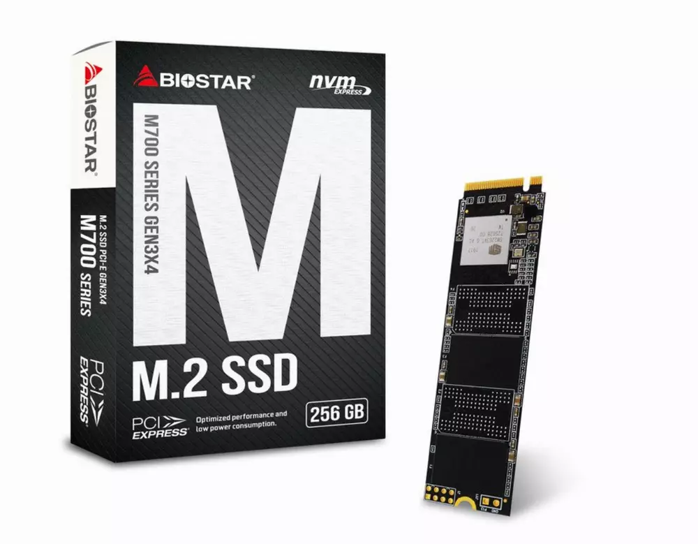 Диск SSD Biostar M700 256GB  M.2 2280 PCI-E Gen3 x4