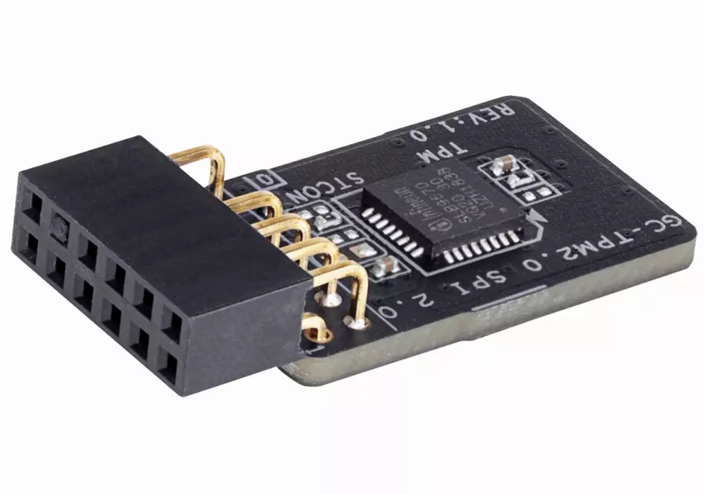 Schutzmodul Gigabyte GC-TMP2.0 SPI 2.0