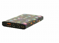 Външна батерия HAMA PA-12 LIVE, 10 000 mAh