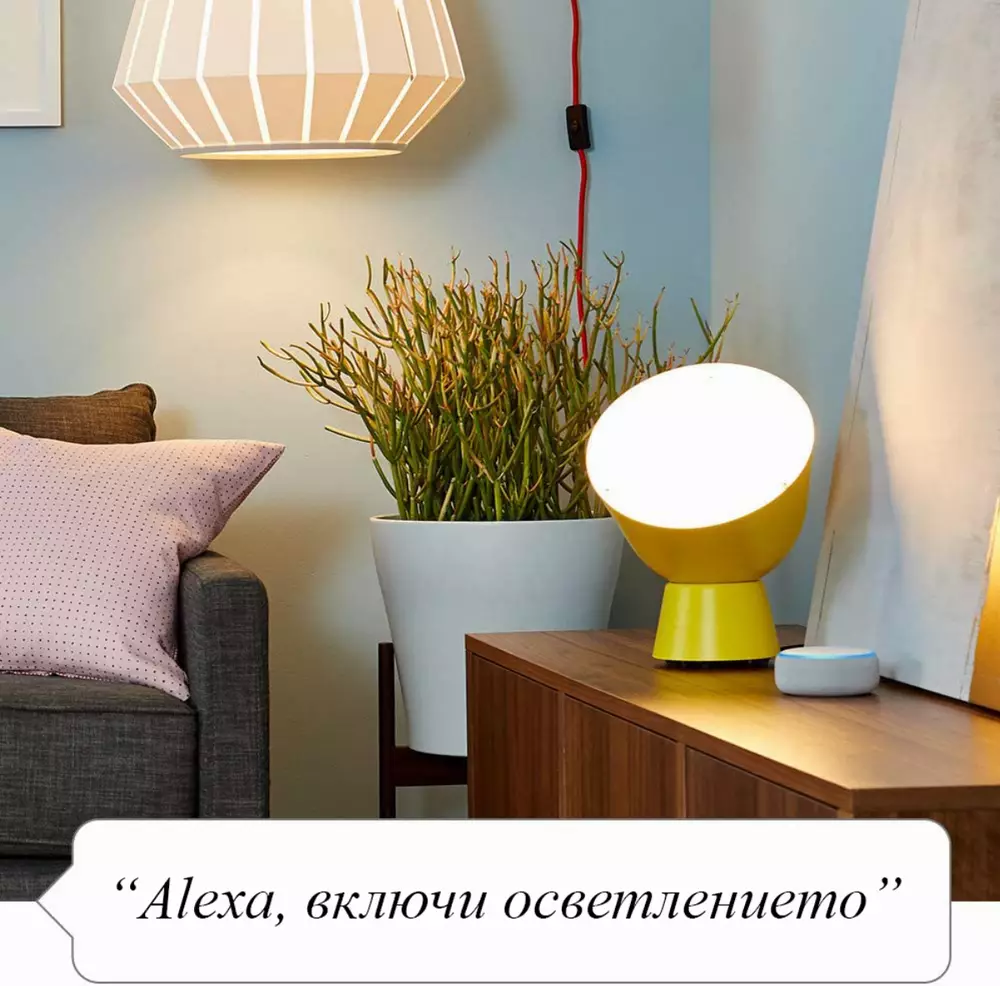 Смарт контакт Amazon Smart Plug, за Amazon Alexa, Бял