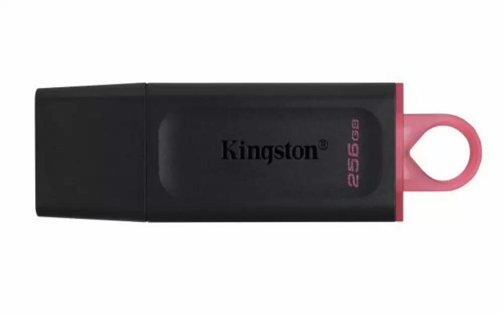 USB памет Kingston DTX 256GB USB3.2