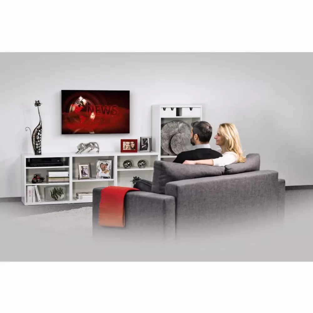 Стенна стойка за TV HAMA 118624, Фиксирана, 90", 75 кг, Черен