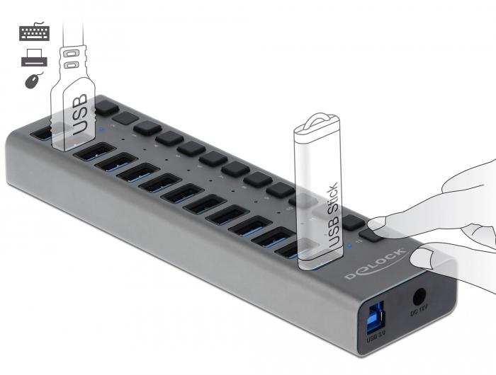 Hub USB Delock 63738, 13 x USB-A, 1 x USB-B, 5 Gbps, Interrupteur, Indicateur LED, Gris