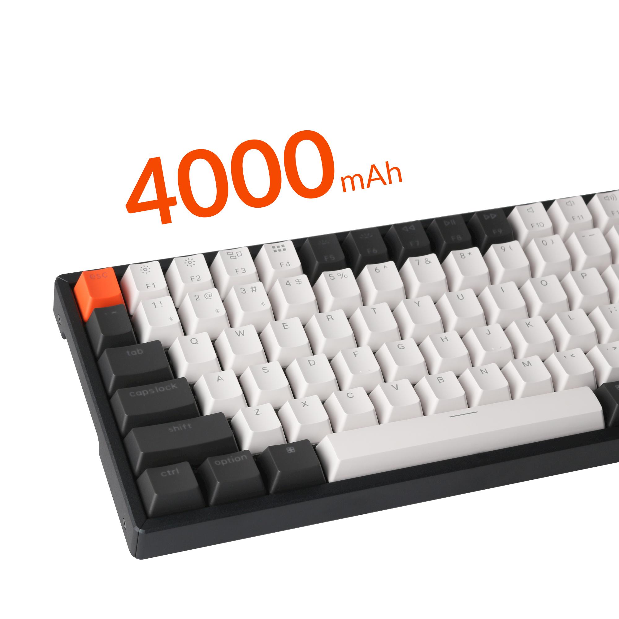 Keychron K2 Hot-Swappable Compact Gaming Mechanical Keyboard Gateron Brown Switch RGB LED ABS