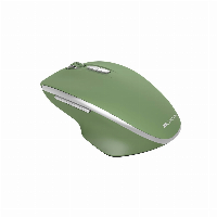 Безжична мишка CANYON MW-21 - CNS-CMSW21SM