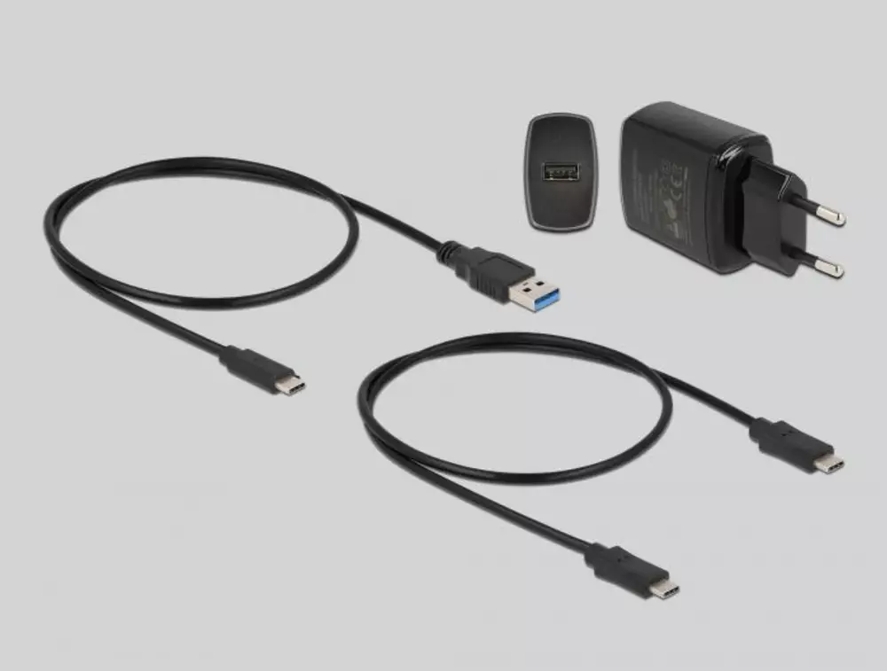Външна стойка Delock 63334, За 2 x M.2 SATA SSD, Функция за клониране