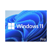 Операционна система Windows 11 Pro 64bit ENG DSP DVD - FQC-10528