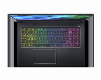 Лаптоп Acer Predator Helios 300 PH317-55-957M - NH.QB7EX.00N