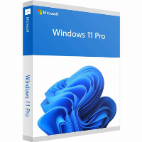 Операционна система Windows 11 Pro for Workstations 64Bit Eng Intl 1pk DSP OEI DVD - HZV-00101