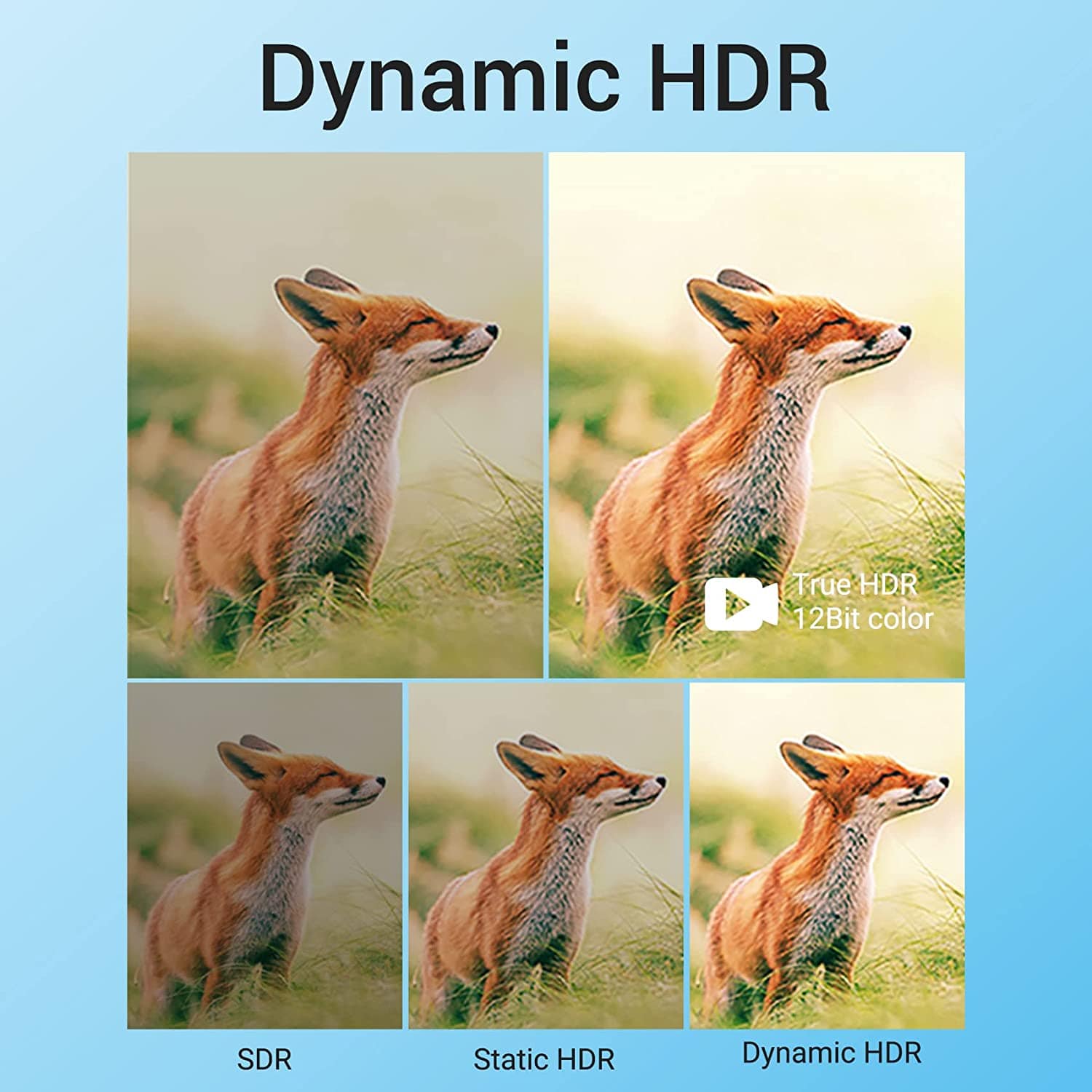 Câble HDMI Vention v2.1 M / M 2m - 8K Dolby Vision HDR - AANBH