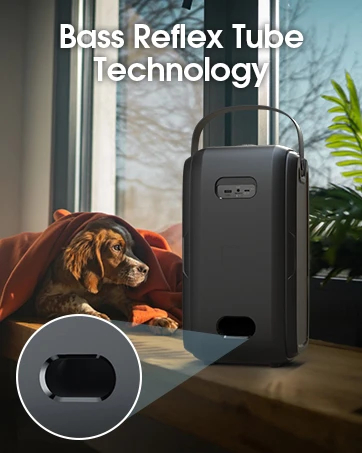 W-King Блутут парти колона Bluetooth Party Speaker - T9 Black - 80W, Wireless Microphone, Karaoke