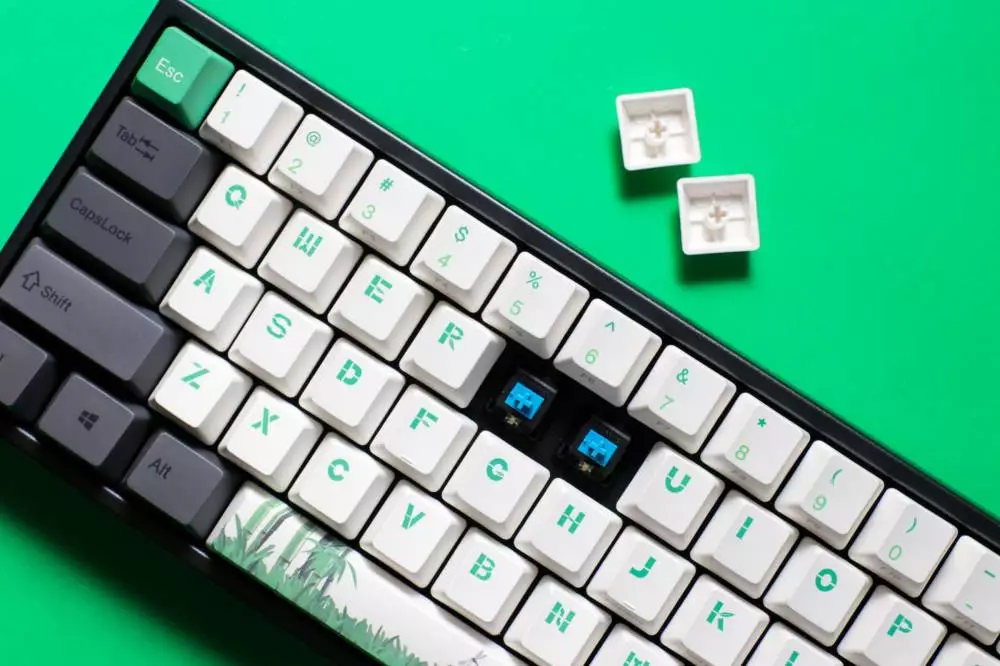 Πληκτρολόγιο παιχνιδιών Ducky x Varmilo Miya Panda V2 65% Cherry MX Silent Red