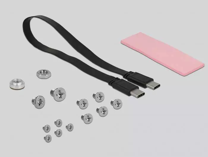 Външно чекмедже Delock, За M.2 NVMe PCIe SSD, USB-C 3.1 Gen 2, 2.5&Prime;
