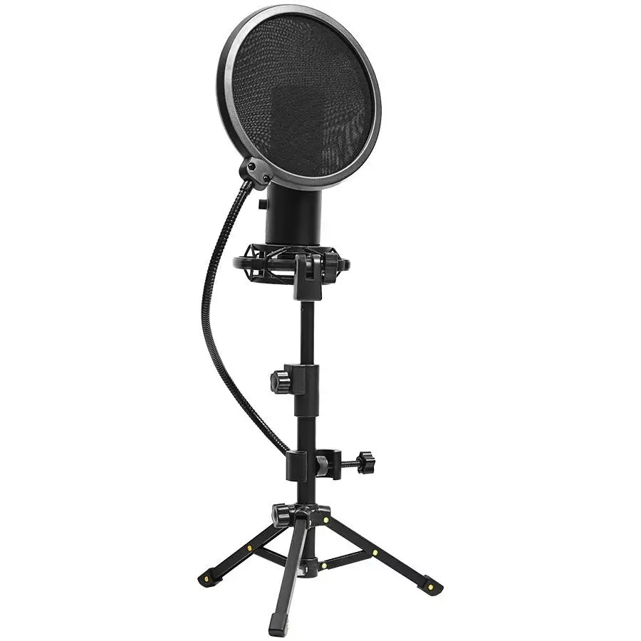 Микрофон LORGAR Voicer 721 LRG-CMT721 Gaming Microphone USB Type-C Black
