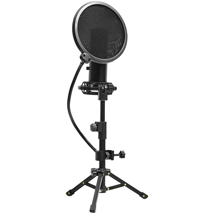 Микрофон LORGAR Voicer 721 LRG-CMT721 Gaming Microphone USB Type-C Black