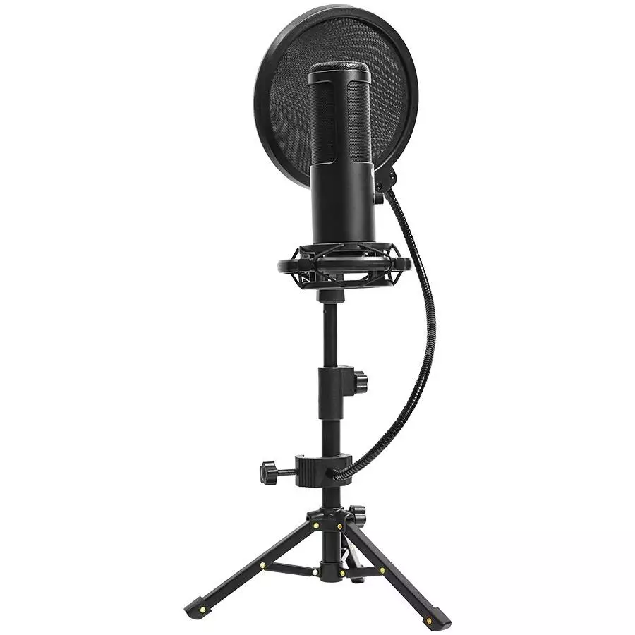 Микрофон LORGAR Voicer 721 LRG-CMT721 Gaming Microphone USB Type-C Black