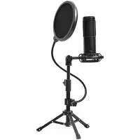 Микрофон LORGAR Voicer 721 LRG-CMT721 Gaming Microphone USB Type-C Black