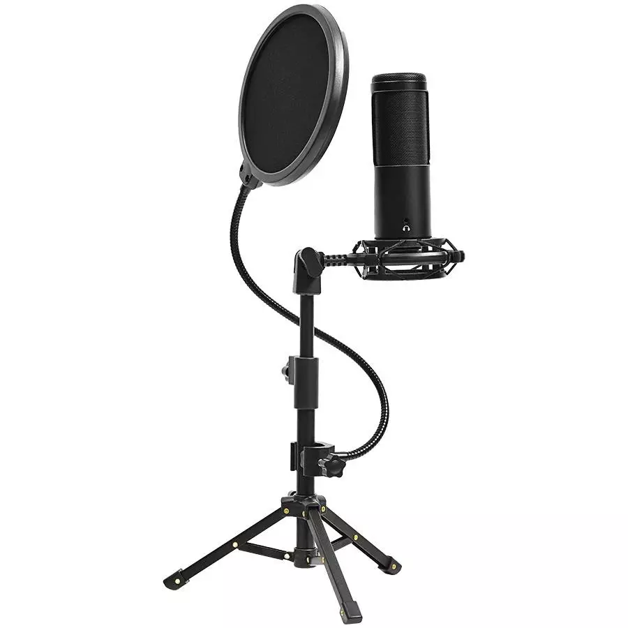 Микрофон LORGAR Voicer 721 LRG-CMT721 Gaming Microphone USB Type-C Black