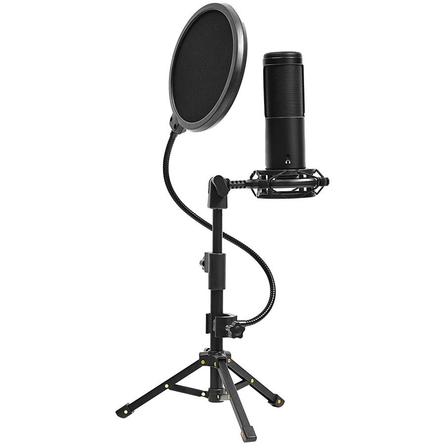 Микрофон LORGAR Voicer 721 LRG-CMT721 Gaming Microphone USB Type-C Black