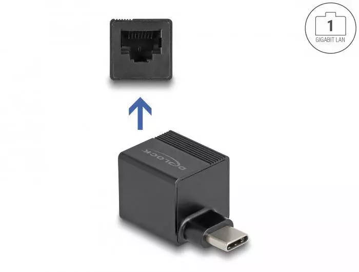 Адаптер DeLock 66462, Type-C - Gigabit LAN, mini
