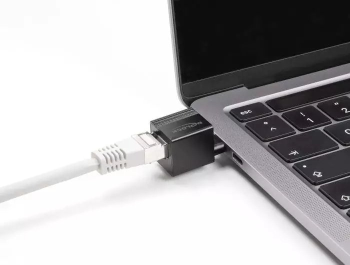 Адаптер DeLock 66462, Type-C - Gigabit LAN, mini