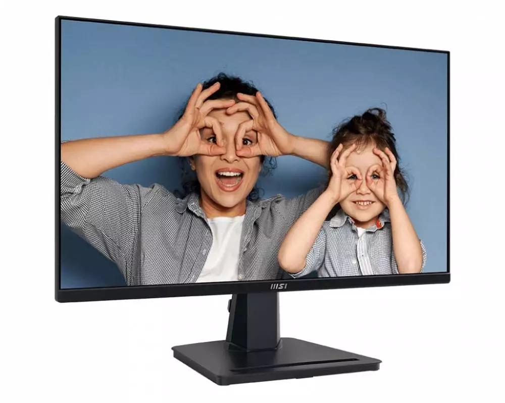 Монитор MSI Pro MP251, 24.5", IPS, FHD 1920x1080, 100Hz, 4ms, Adaptive Sync, HDMI, D-Sub