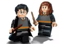 LEGO Harry Potter - Harry Potter & Hermione Granger - 76393