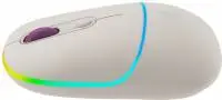 Безжична мишка Canyon MW-22, бежов - CNS-CMSW22RC