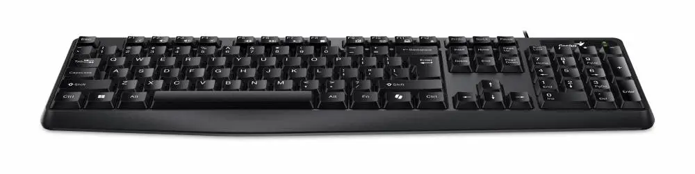 Genius клавиатура кирилизирана Smart Keyboard KB-117 Black - AI, BG Layout, USB
