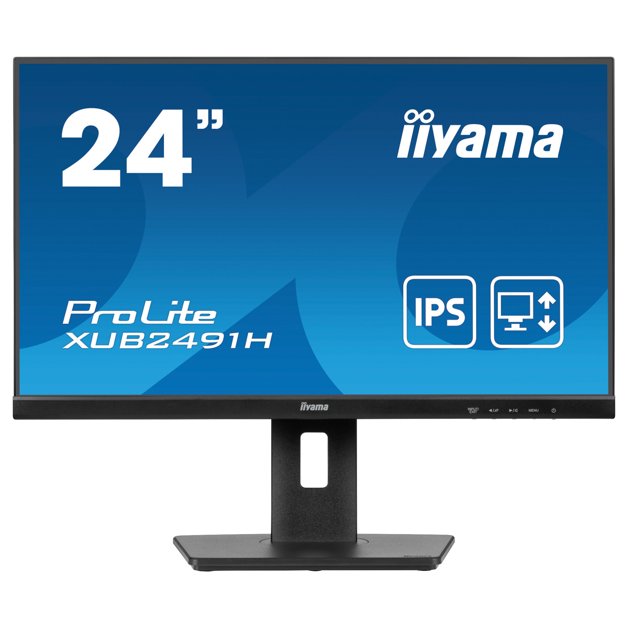 Монитор IIYAMA XUB2491H-B1