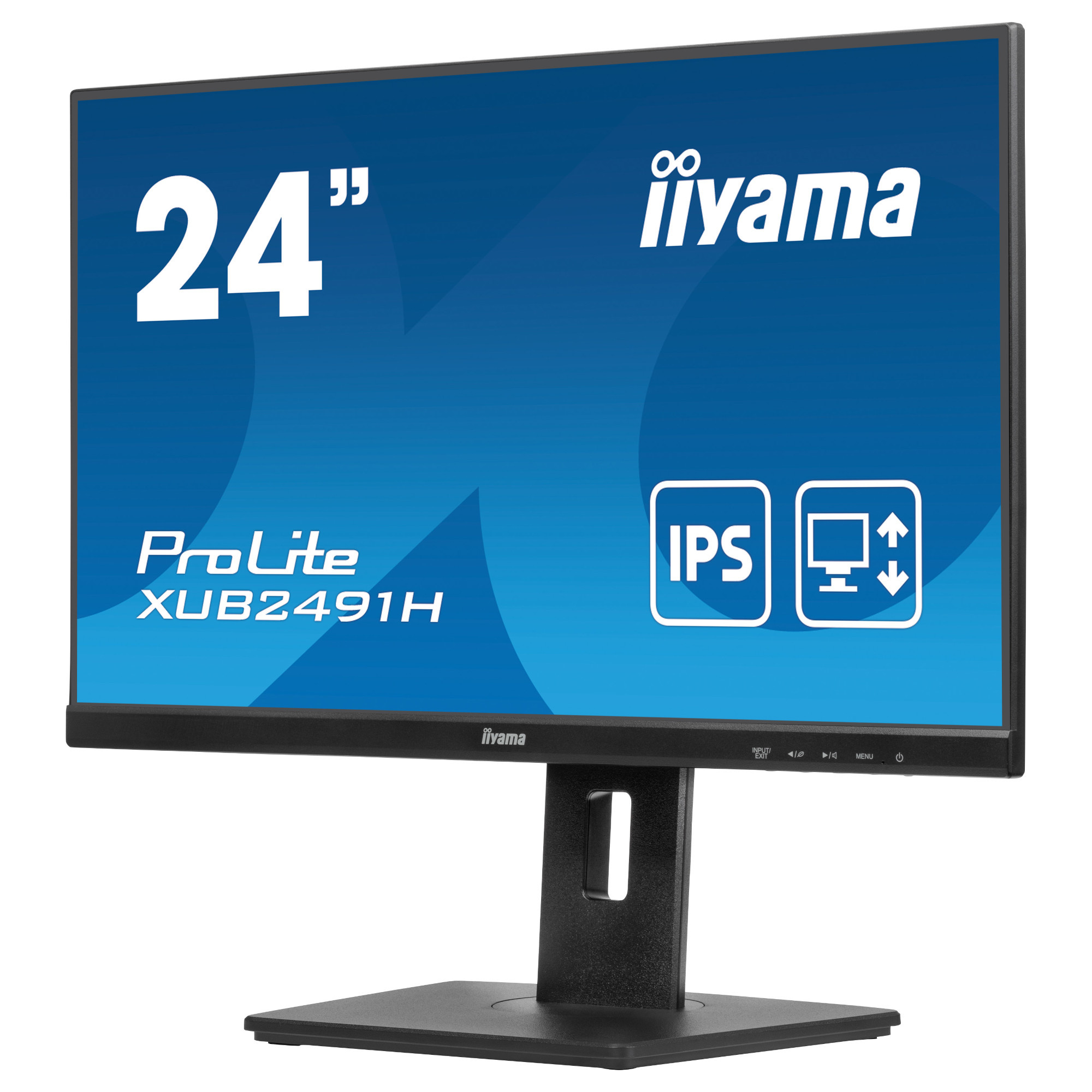 Монитор IIYAMA XUB2491H-B1