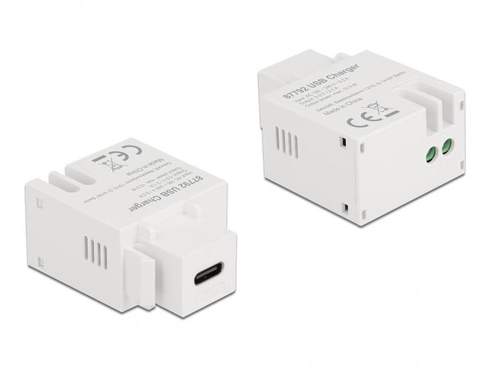Модул Delock, USB-C порт за зареждане, За монтаж на панел Keystone