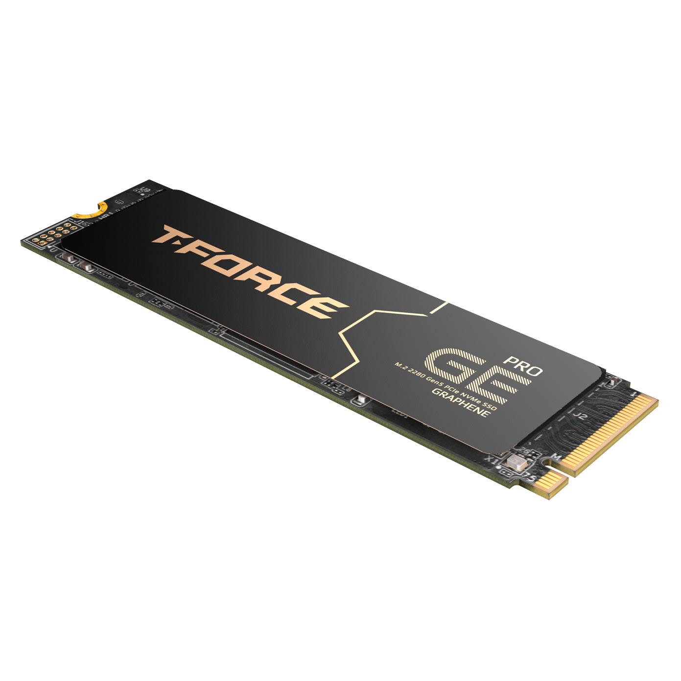 Диск SSD Team Group T-Force GE PRO 2TB M.2 2280 NVMe PCIe 5.0 x4 - TM8FG3002T0C133