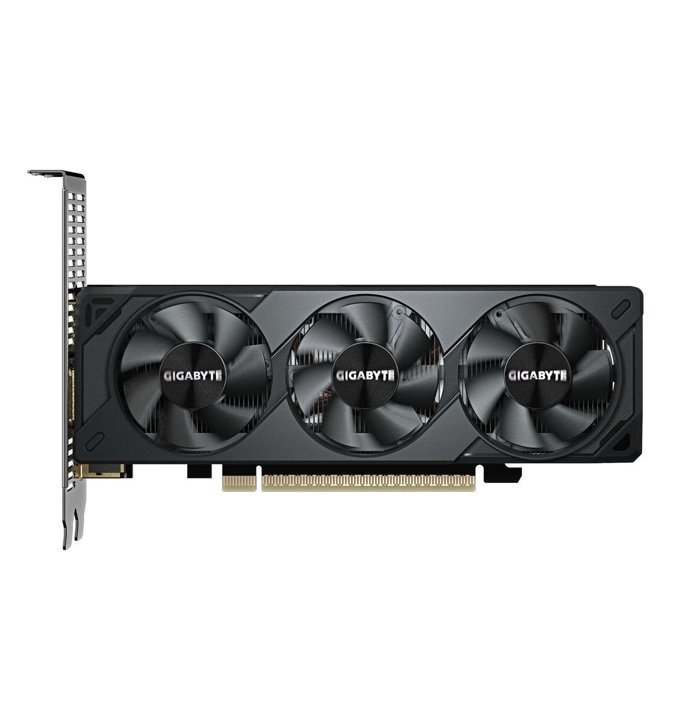 Carte graphique Gigabyte RTX 5050 OC Low Profile 8GB GDDR6