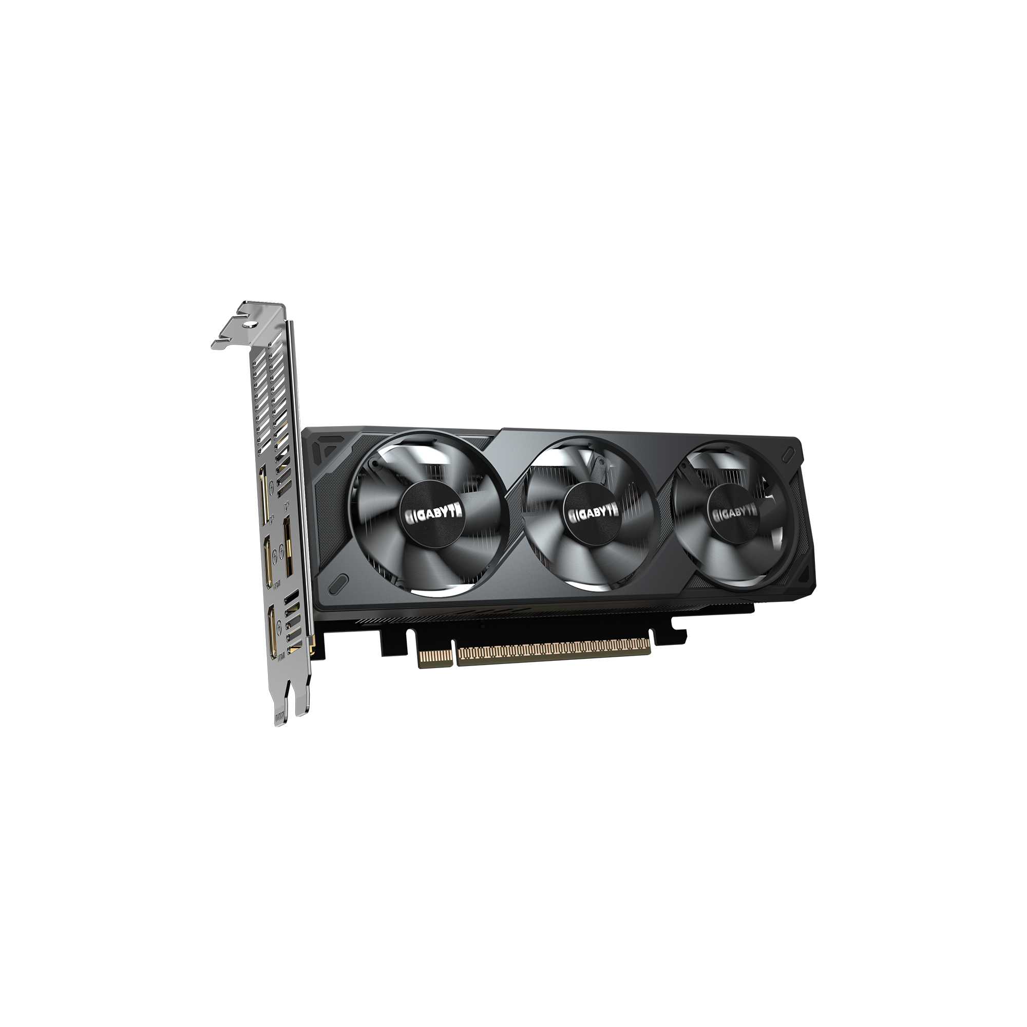 Carte graphique Gigabyte RTX 5050 OC Low Profile 8GB GDDR6